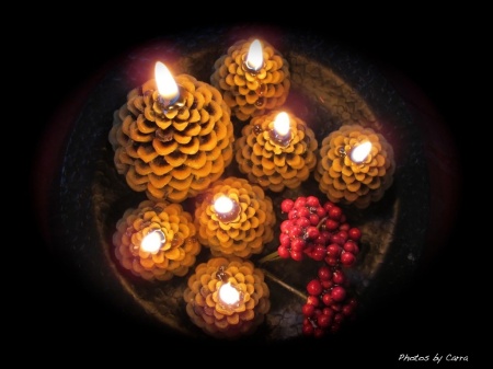 Pinecone candles.jpg dn